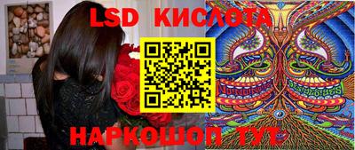 стафф Шебекино