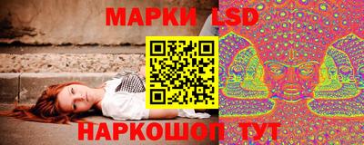спиды Шахты