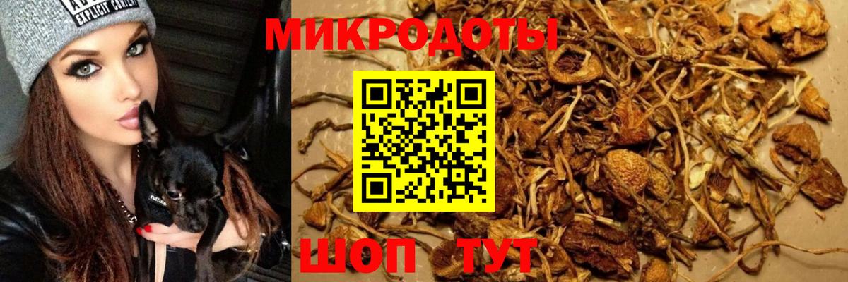Галлюциногенные грибы прущие грибы Ирбит